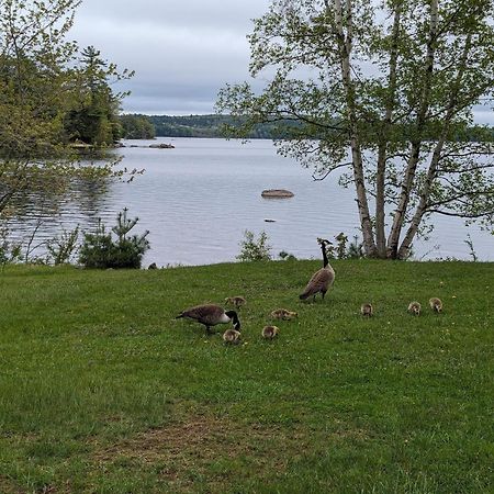 Alamoosook Lakeside Inn Orland Екстер'єр фото